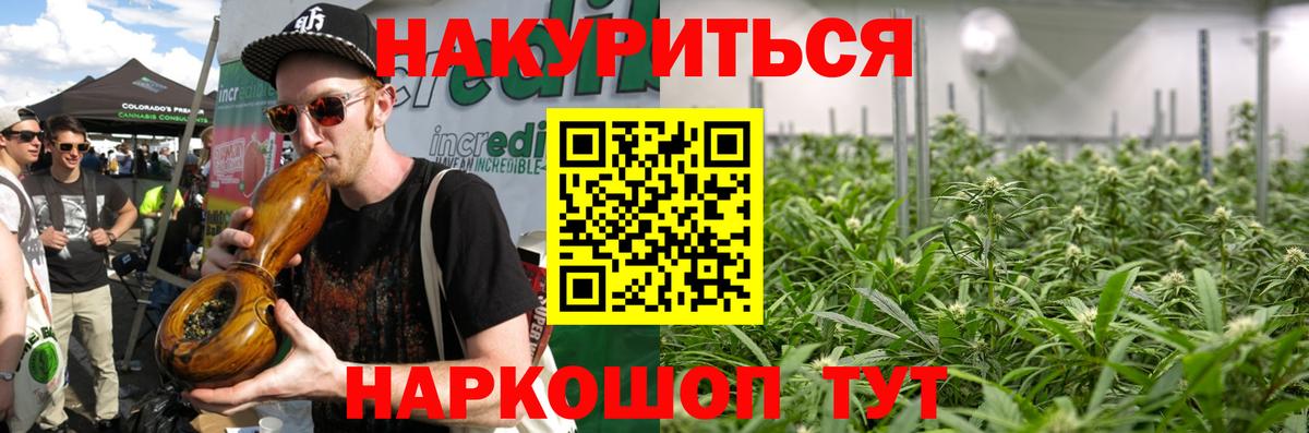 Бошки Шишки гибрид Богородицк